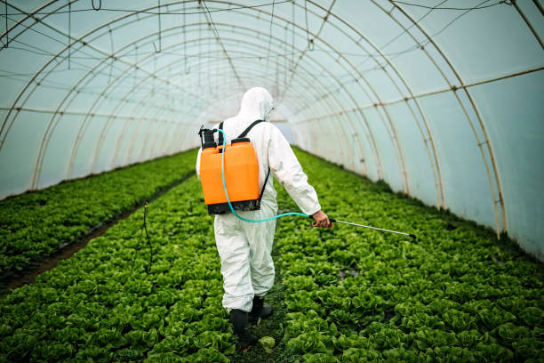 Reliable Garden City, SC Pest Control Solutions