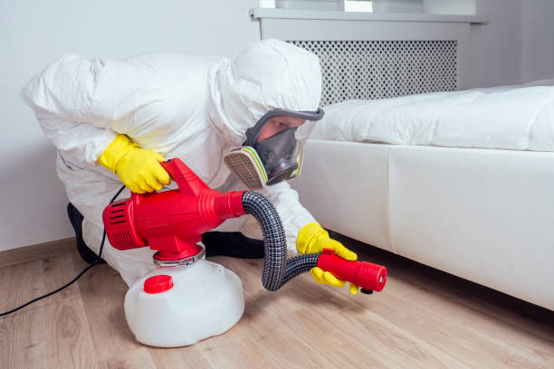Best Mosquito Control Services  in Garden City, SC